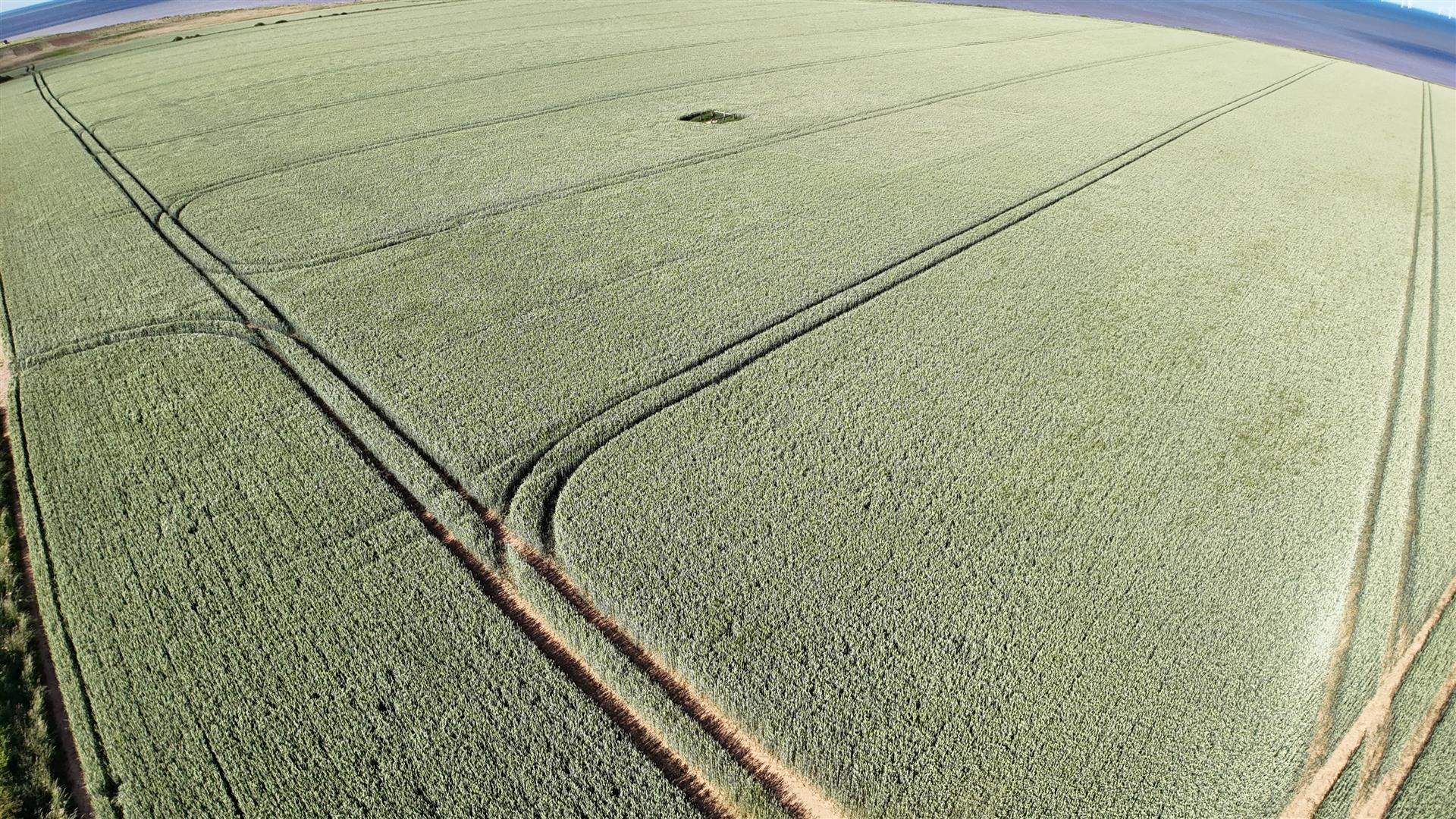 c.32.02 acres Pasture Lane c.32.02 acres at Tunstall, c.32.02 acres Pasture Lane, HU12 0JD